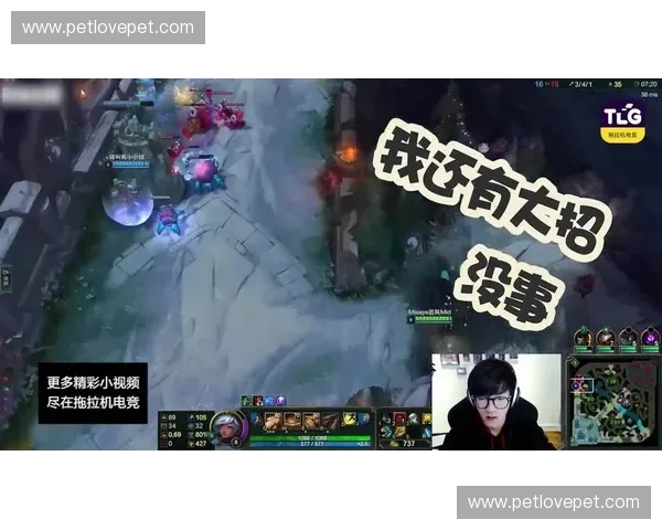 岩雀若风重返峡谷掌控风暴英雄传奇再续风云