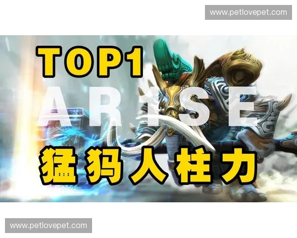 浅浅再掀DOTA2热潮 从路人王到职业赛场的逆袭之旅