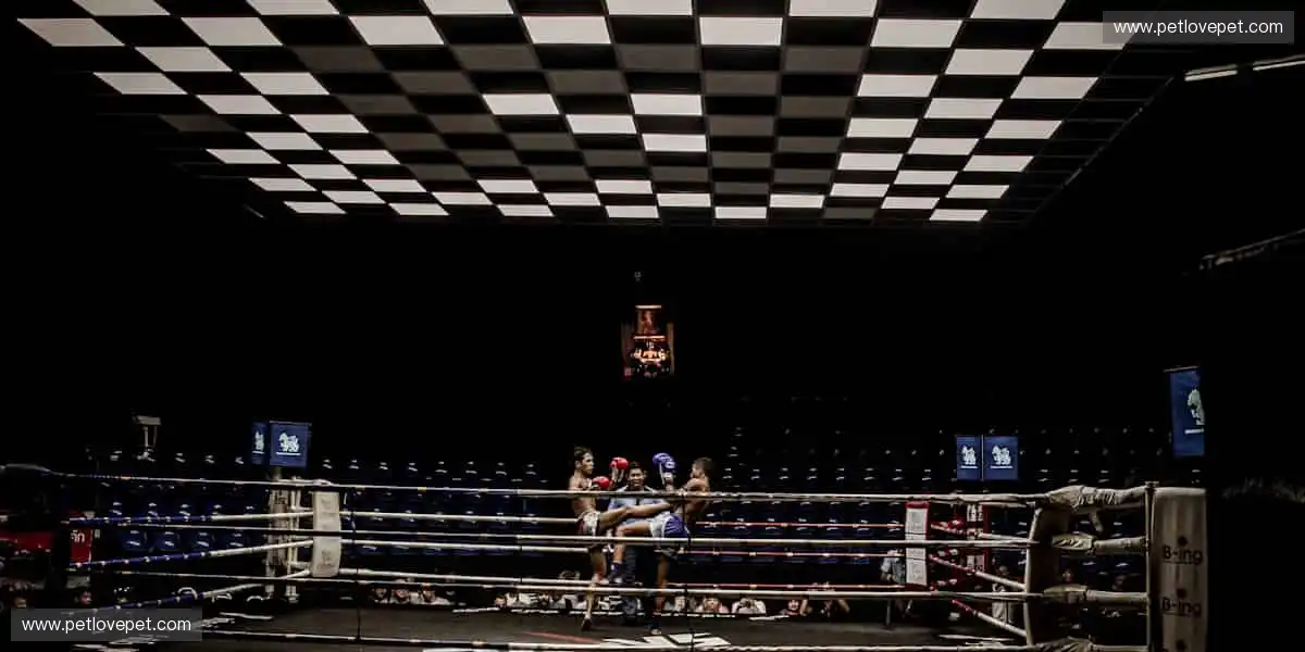 用装备定义实力，让每个动作都无可挑剔！🎾